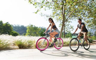 智利工程師創造世界首輛自鎖結構防盜自行車