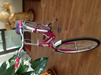 【天津市濮琪自行車(chē)】?jī)r(jià)格,廠家,圖片,自行車(chē),天津市濮琪自行車(chē)-