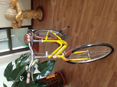 【天津市濮琪自行車(chē)】?jī)r(jià)格,廠家,圖片,自行車(chē),天津市濮琪自行車(chē)-